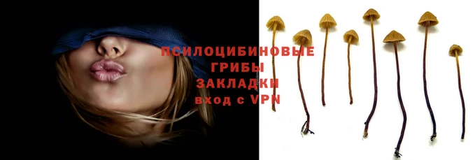 а пвп мука Алзамай